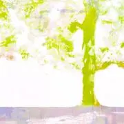 swの画像