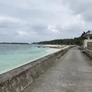 たっか