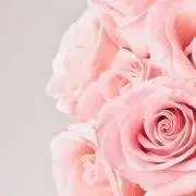 p♡ほぼ低価格♩の画像
