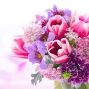 ゆみ