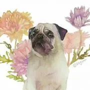 サリーちゃんの画像