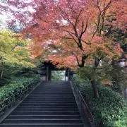 ppプロフ確認♪の画像
