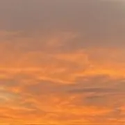 Mの画像