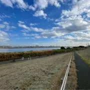 yoriの画像