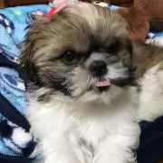 rrr