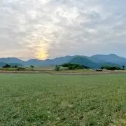らっきょう農家【5/25発送開始】の画像