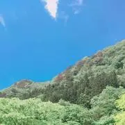 りりりの画像