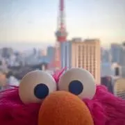 はるの画像