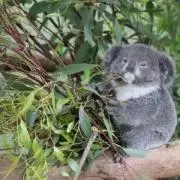 なお