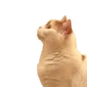 motherの画像