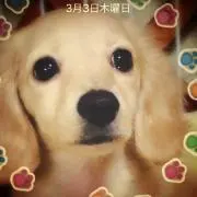 ともリン✴︎プロフ必読✴︎