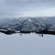 陸
