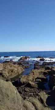 フラワーの画像