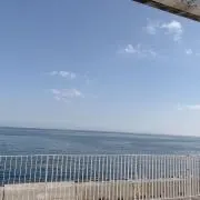 ynの画像