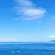 ゆ【即購入OK】の画像