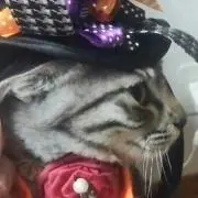 ゆぅ