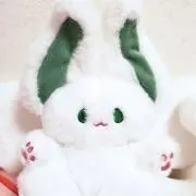 うさぎの画像