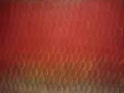 くろみの画像