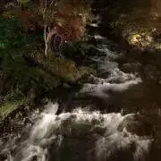 DAKの画像