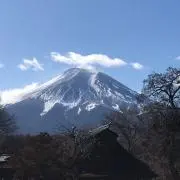 WAKAB❣️の画像