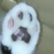 とおかの画像