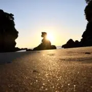 シャイニーの画像
