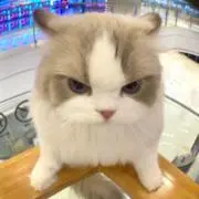 めあ