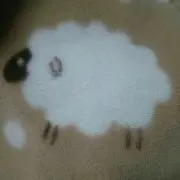 ももな
