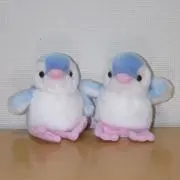 あおい
