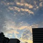 まっちぼうの画像
