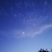 フラワーロックの画像