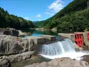 トッポ　★プロフ一読下さいの画像