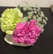 あんずの画像