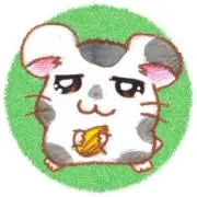 Oの画像