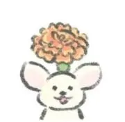 ぽちの画像