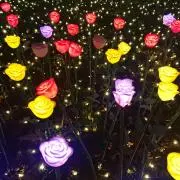 つぐママ