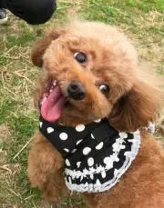 ✴︎cocoa✴︎の画像