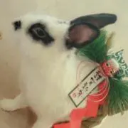 たか