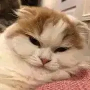Marieの画像