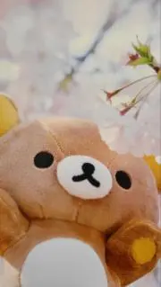 のとこ