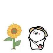 ちゅらうみの画像
