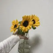 na.