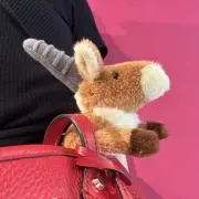 Yacleの画像