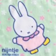 miiの画像