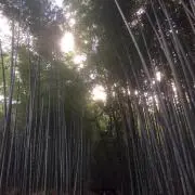 隣の丘の岡野さん