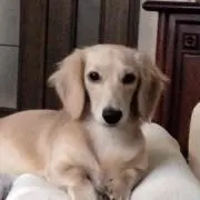 てぃこ