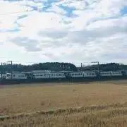 けいけい