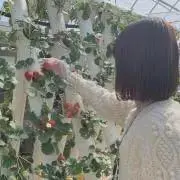 よっちゃんプロフ確認