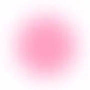 にこの画像