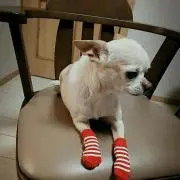 myu